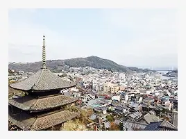 写真:街を見下ろしています。天寧寺 海雲塔や、たくさんの家や、海と山が写っています。